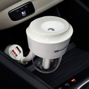 HUMIDIFIER