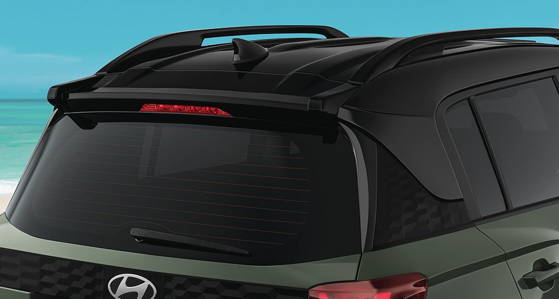 Painted black rear spoiler & roof rails