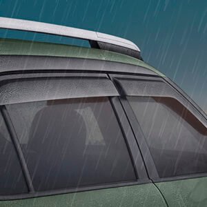 DOOR VISOR