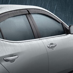 DOOR VISOR