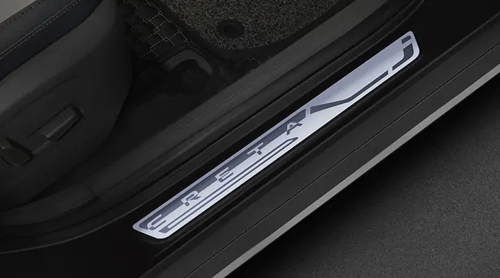 DOOR SILL GUARD