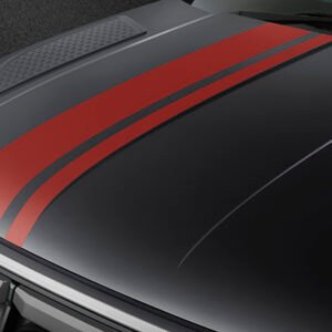 SPORTY BODY DECALS