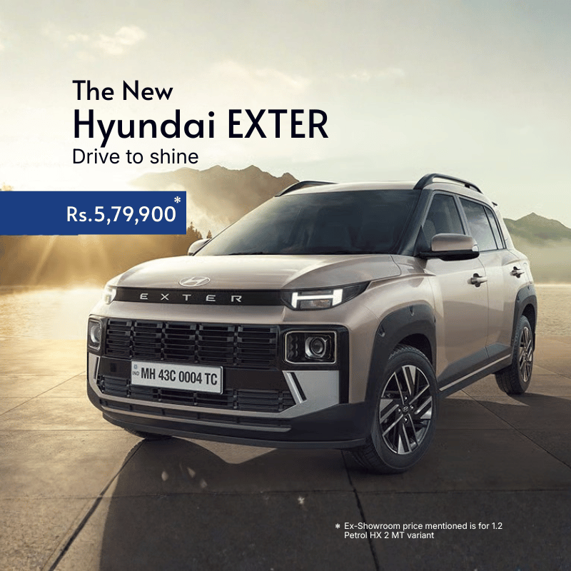 web mob 800x800 exter