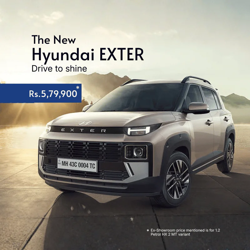 web mob 800x800 exter